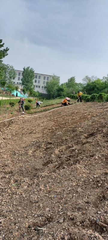 廠(chǎng)區綠化施工設計及養護